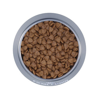 Royal Canin Maxi Dog Food