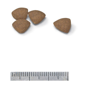 Royal Canin Maxi Dog Food