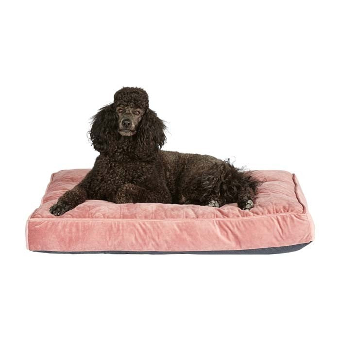 Scruffs Square Thermal Black Dog Bed