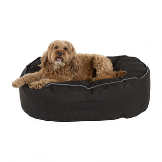 Harmony Gramercy Rectangle Dog